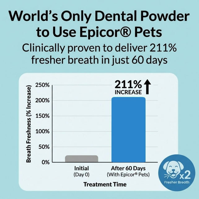 Dental Powder - NutriPaw