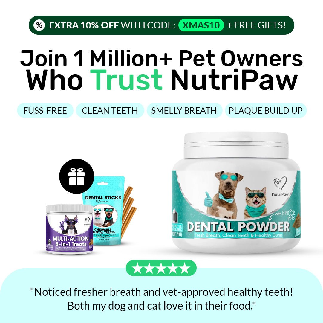 //nutri-paw.com/cdn/shop/files/dental-powder-4787473.jpg?v=1765737727