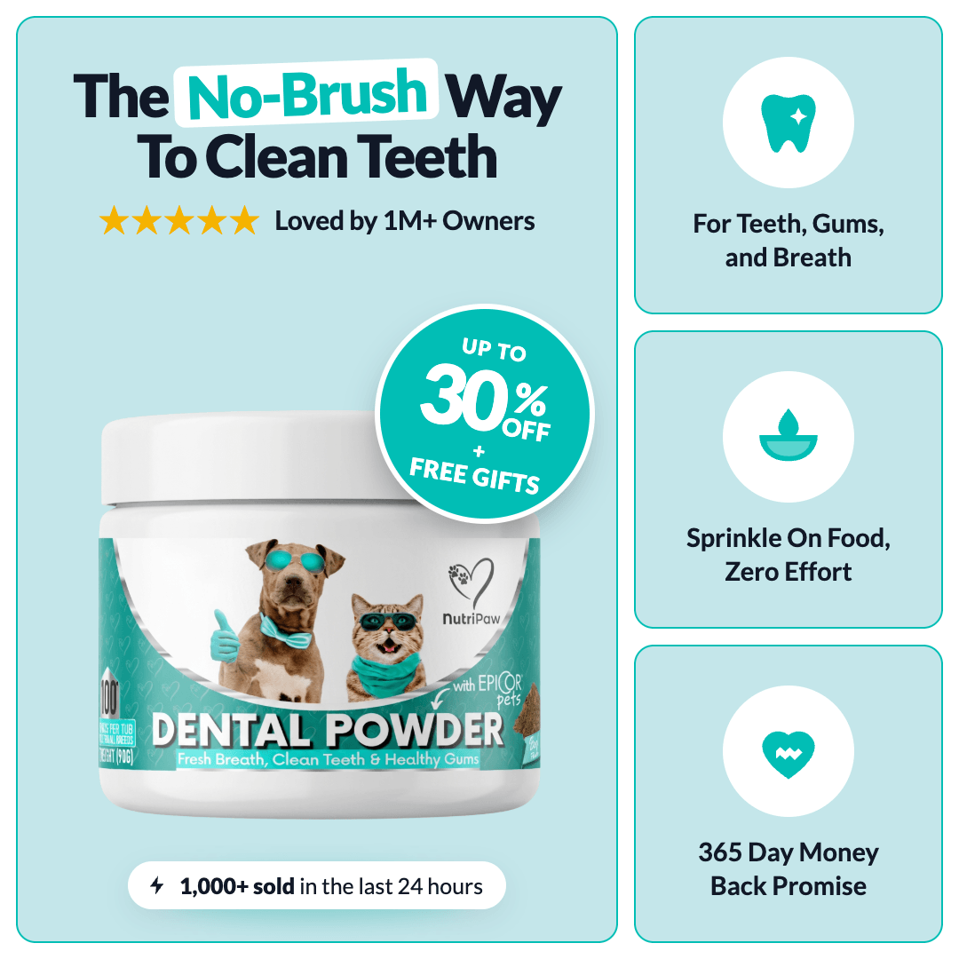 Dental Powder - NutriPaw