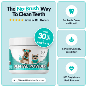 Dental Powder - NutriPaw
