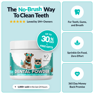 Dental Powder - NutriPaw