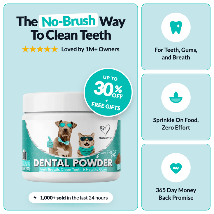 Dental Powder - NutriPaw