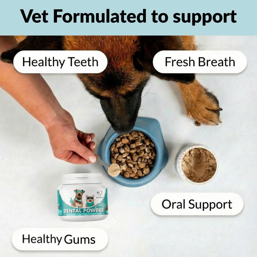 Dental Powder - NutriPaw