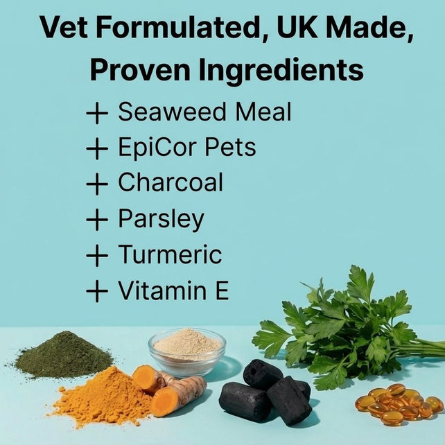 Dental Powder - NutriPaw
