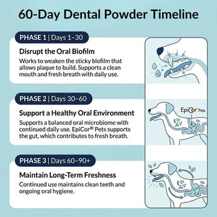 Dental Powder - NutriPaw