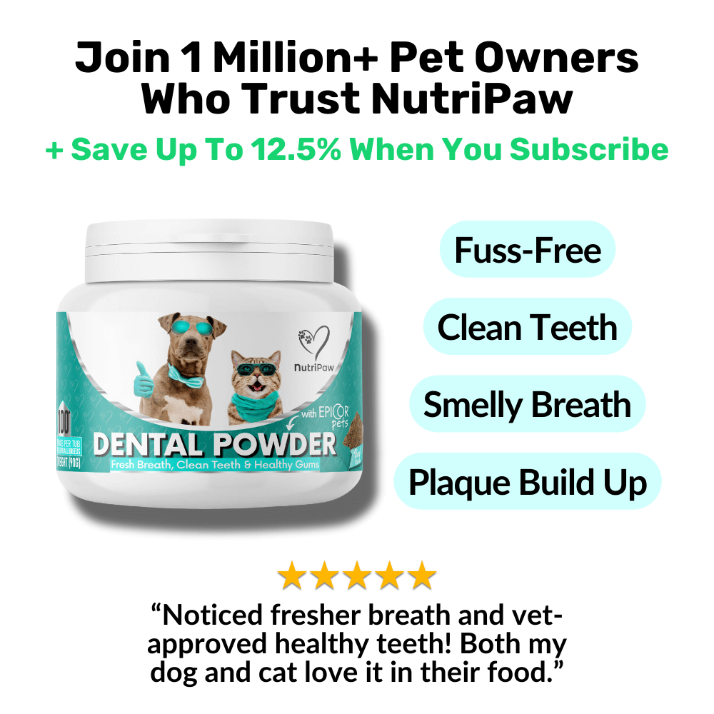 Dental Powder - NutriPaw