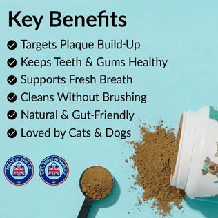 Dental Powder - NutriPaw