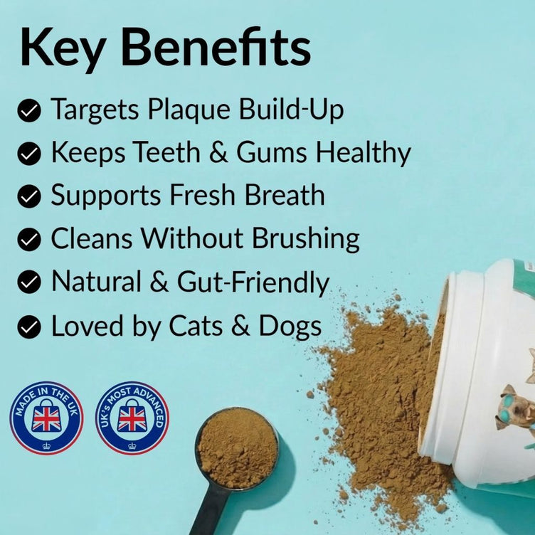 Dental Powder - NutriPaw
