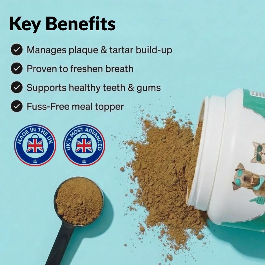 Dental Powder - NutriPaw