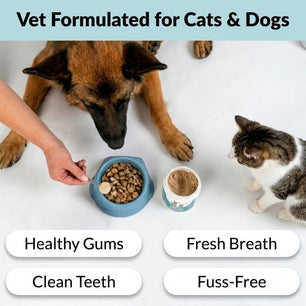 Dental Powder - NutriPaw