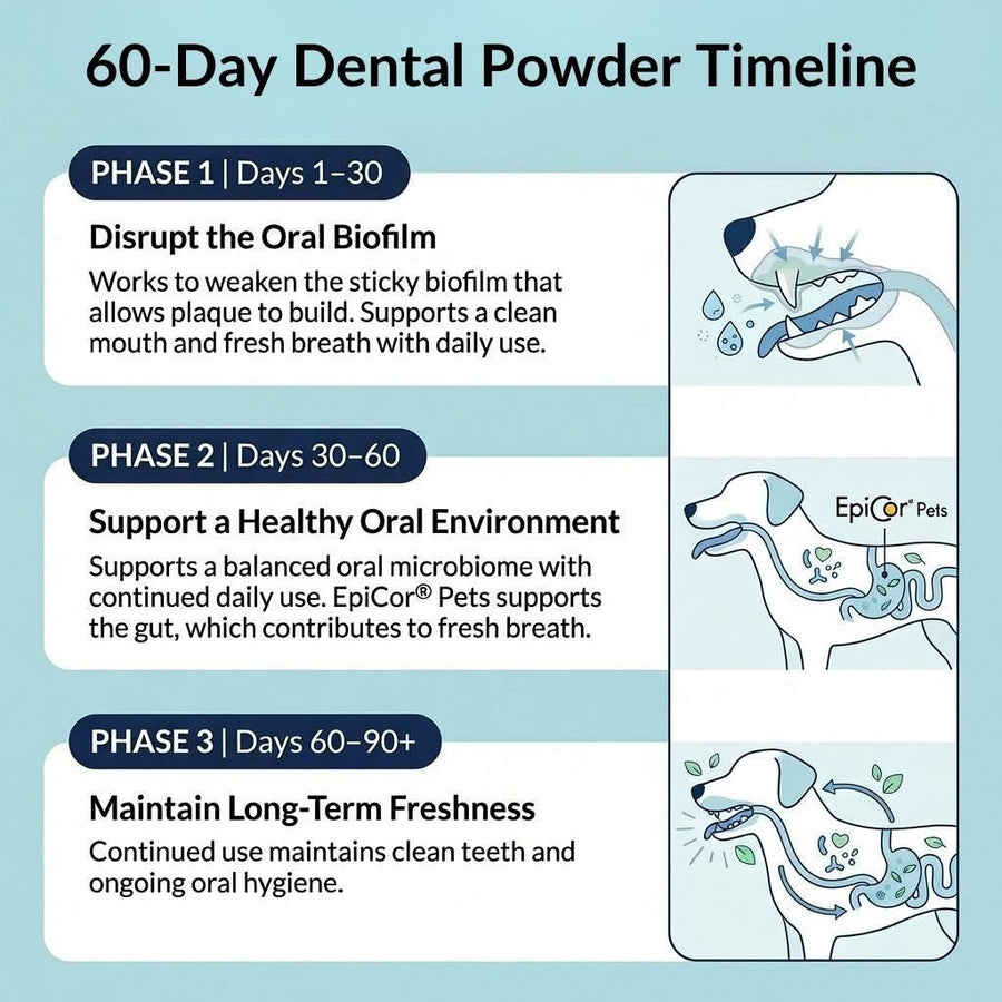 Dental Powder BFCM - NutriPaw