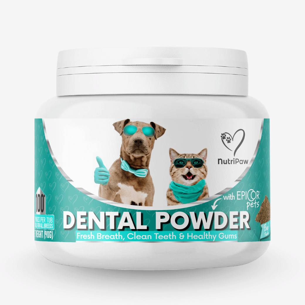 Dental Powder BFCM - NutriPaw