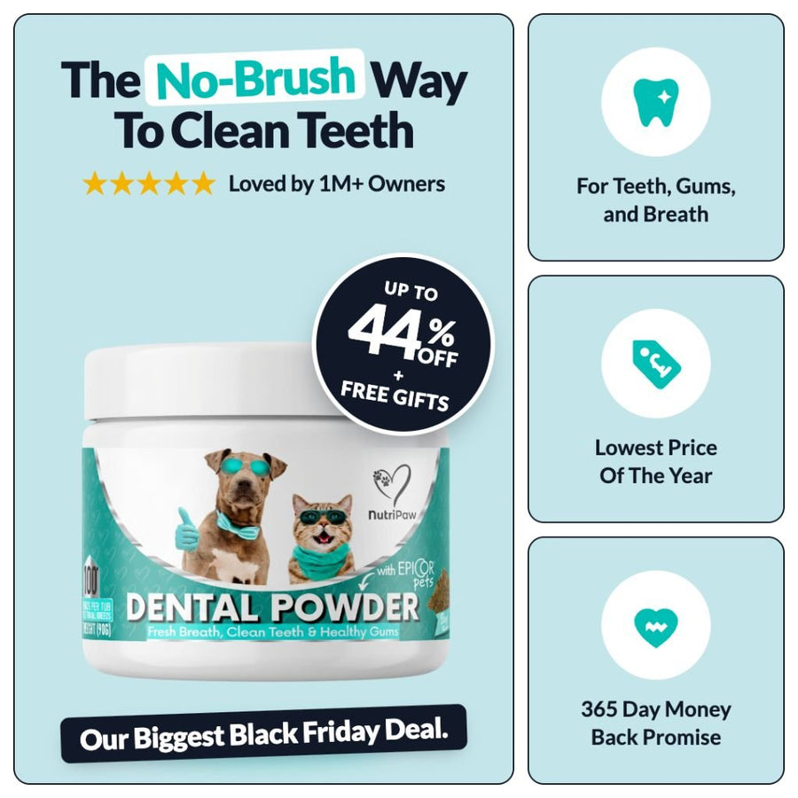 Dental Powder BFCM - NutriPaw