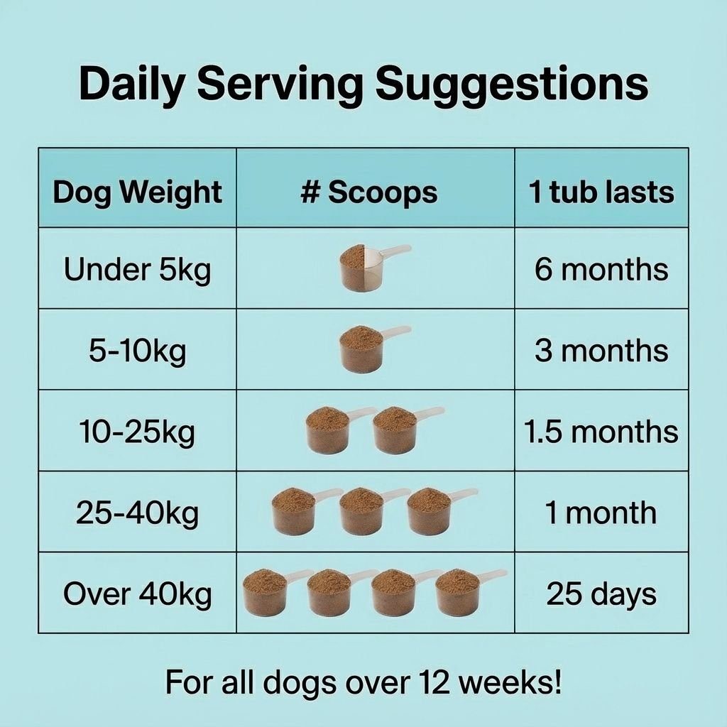 Dental Powder BFCM - NutriPaw