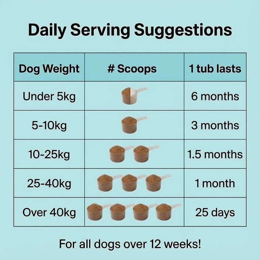 Dental Powder BFCM - NutriPaw