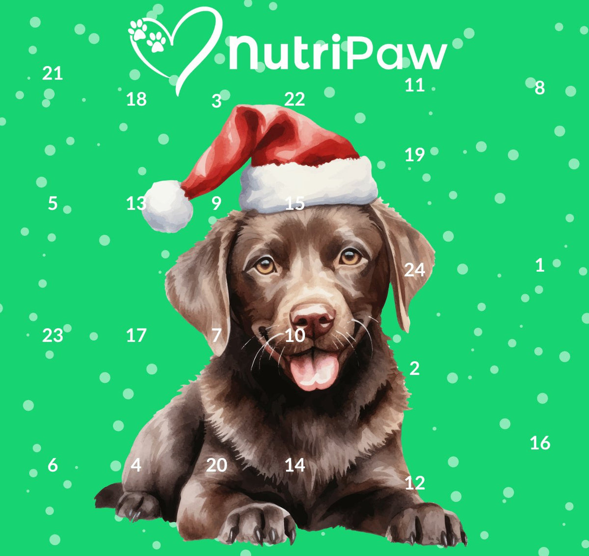 Dog Advent Calendar - NutriPaw