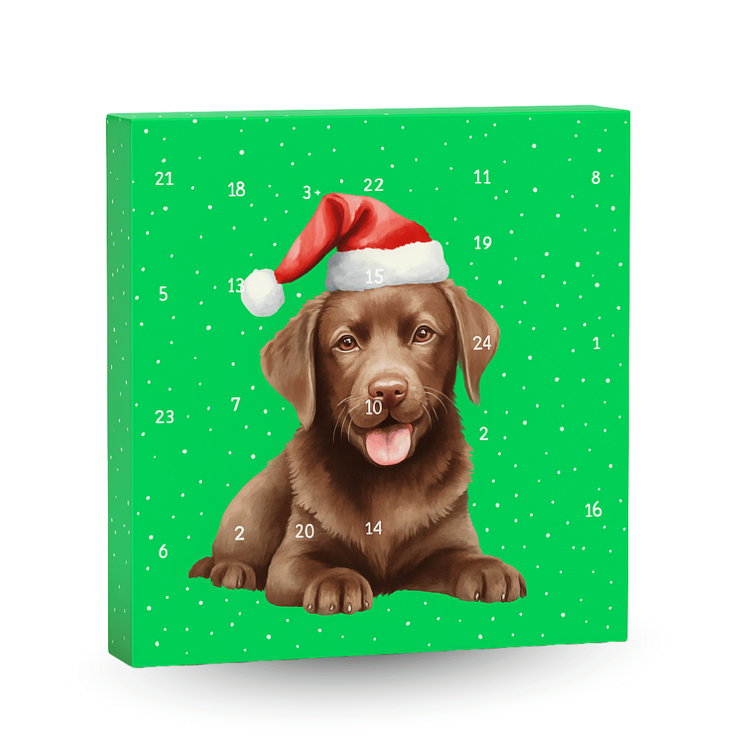 Dog Advent Calendar - NutriPaw