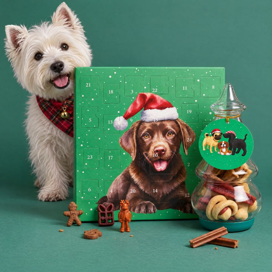 Dog Advent Calendar - NutriPaw
