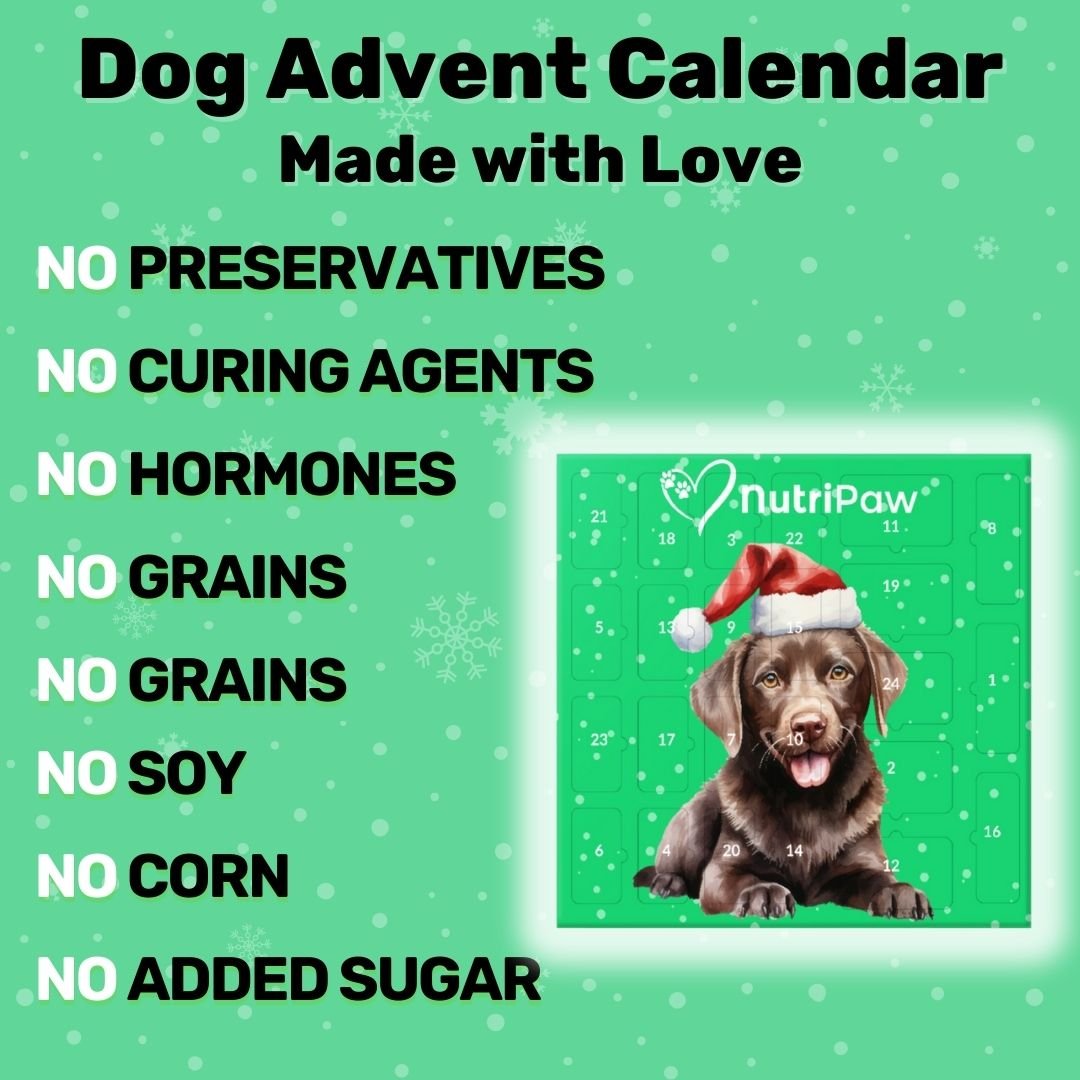 Dog Advent Calendar - NutriPaw