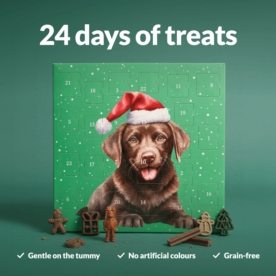 Dog Advent Calendar - NutriPaw