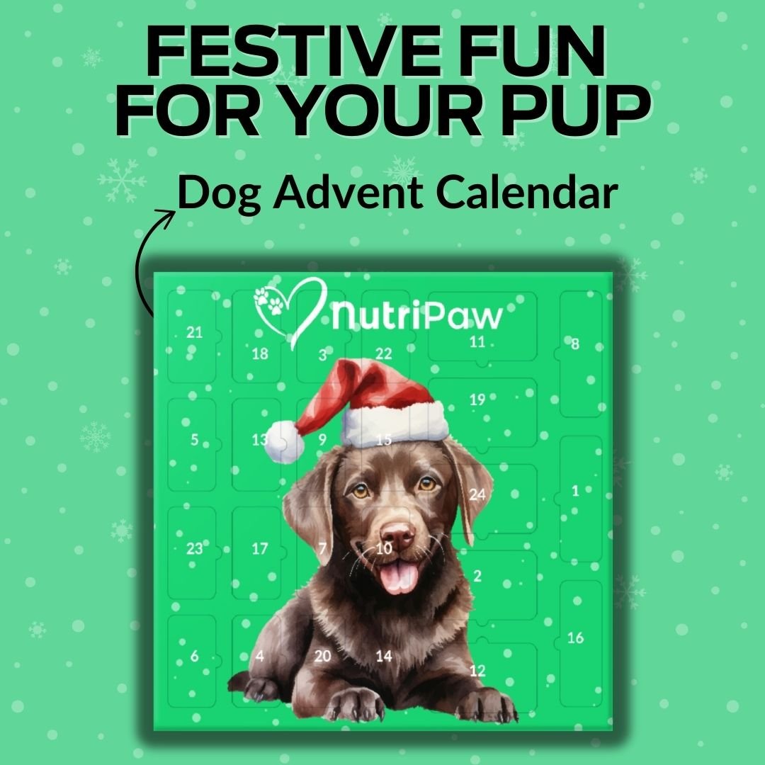 Dog Advent Calendar - NutriPaw