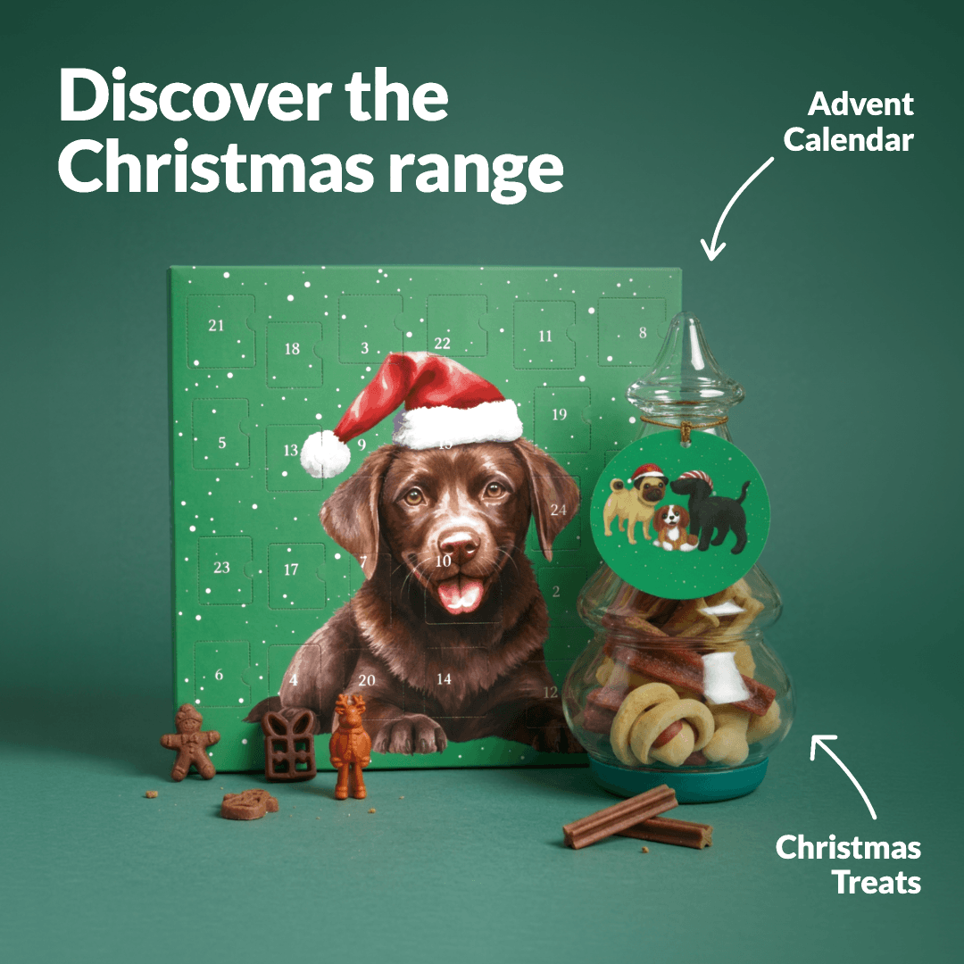 Dog Christmas Gift - NutriPaw