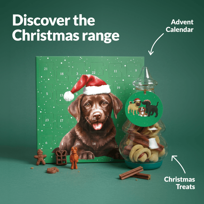 Dog Christmas Bundle