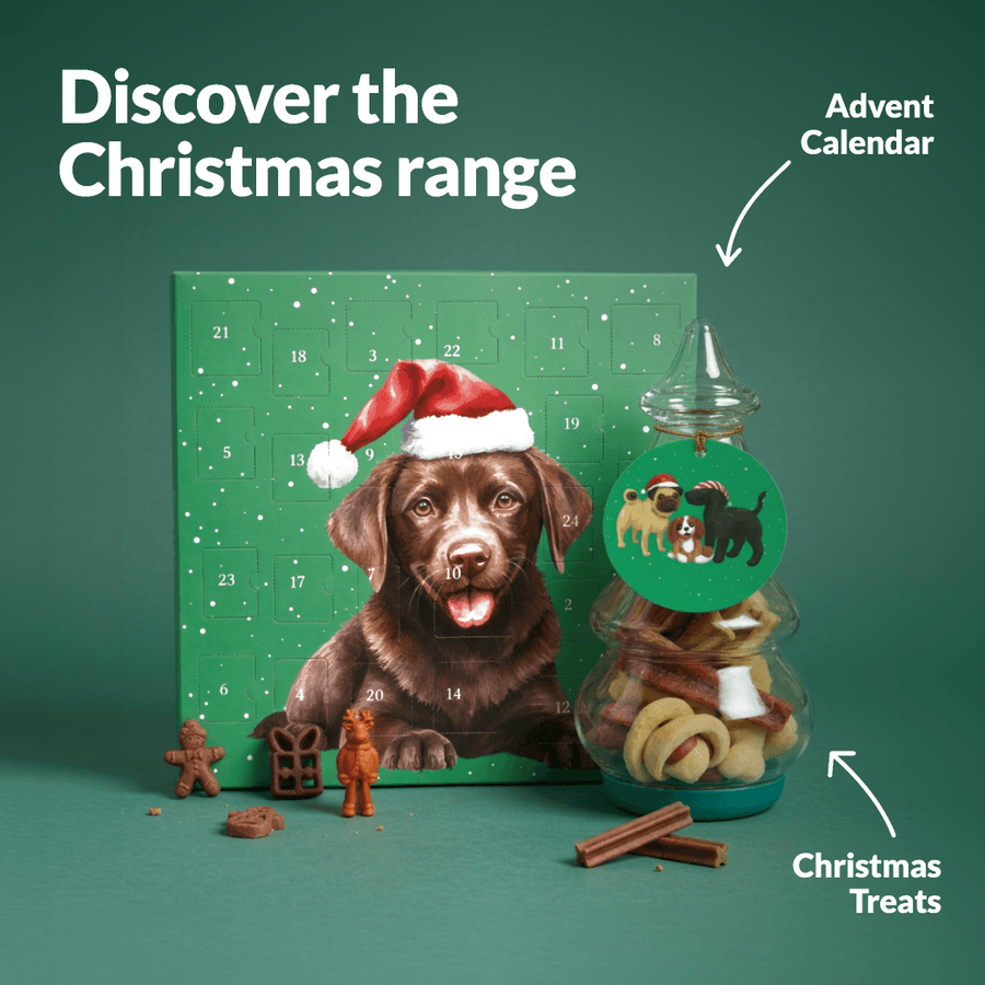 Dog Christmas Gift - NutriPaw