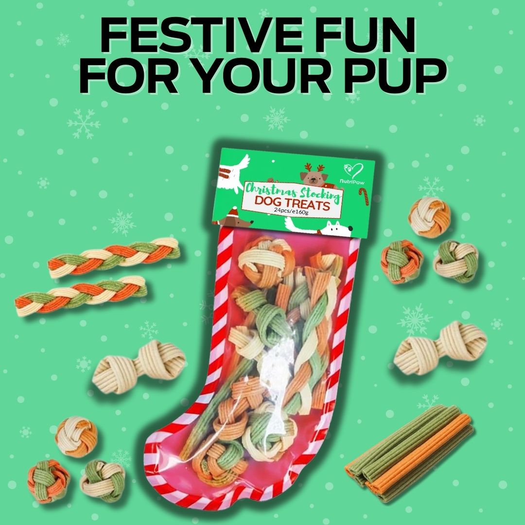 Dog Christmas Stocking - NutriPaw