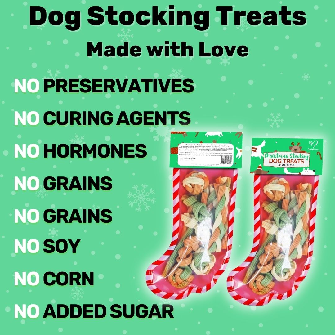 Dog Christmas Stocking - NutriPaw