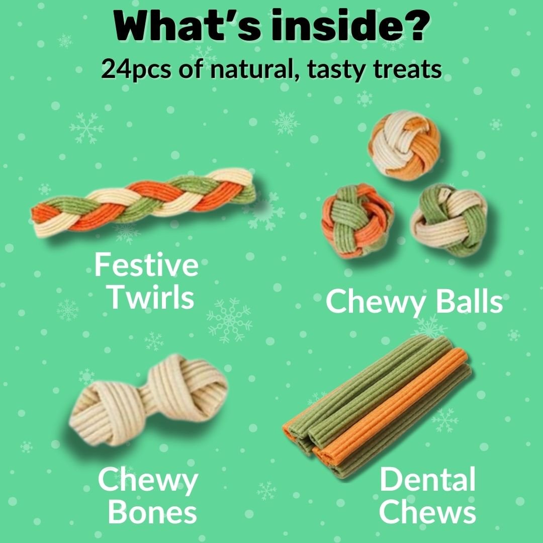 dog-christmas-stocking-nutripaw