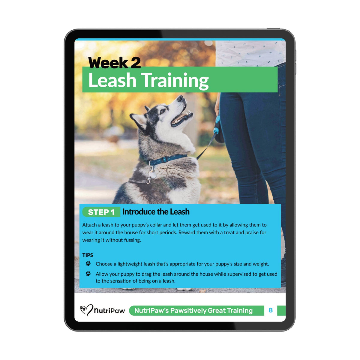 Dog Training Program - NutriPaw