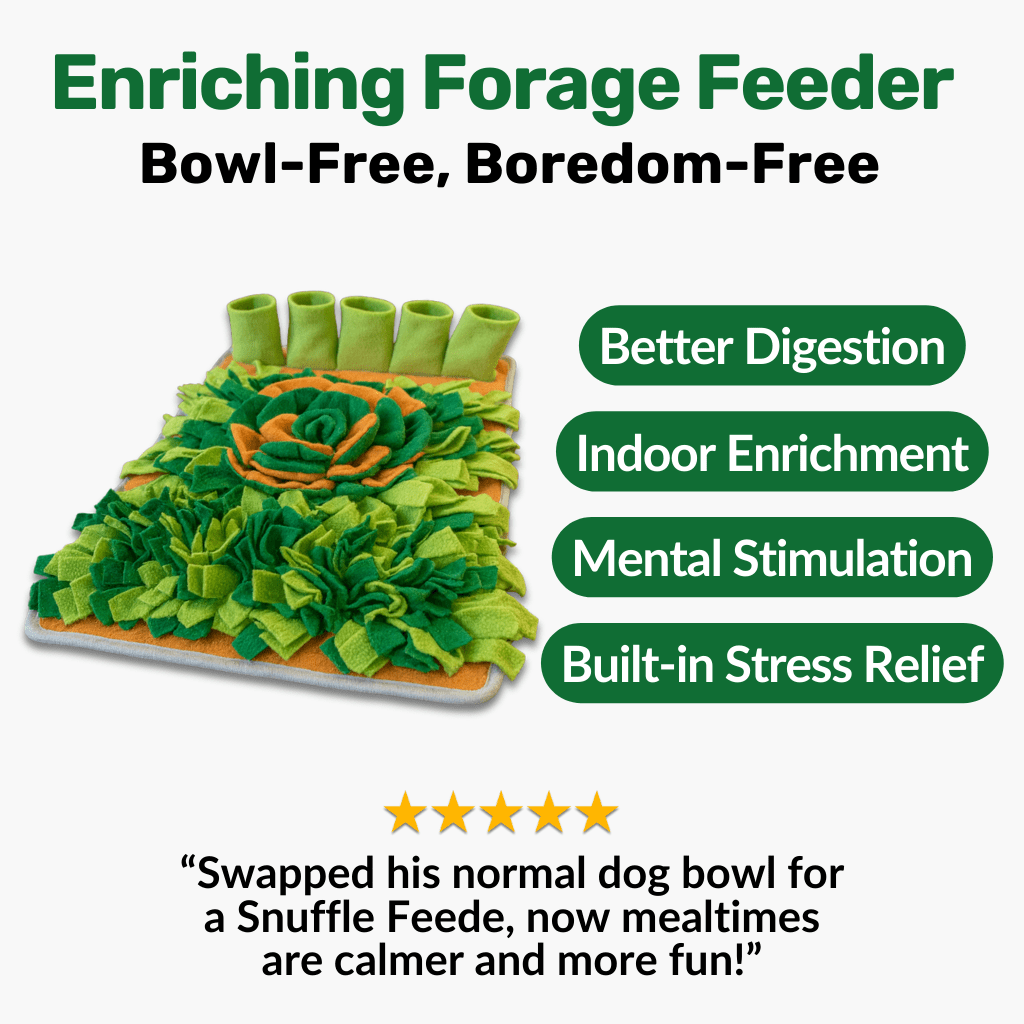 Forage Feeder - NutriPaw