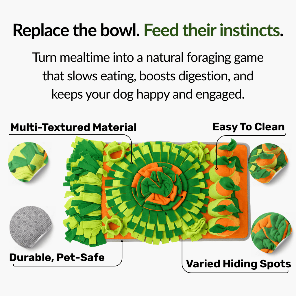 Forage Feeder - NutriPaw