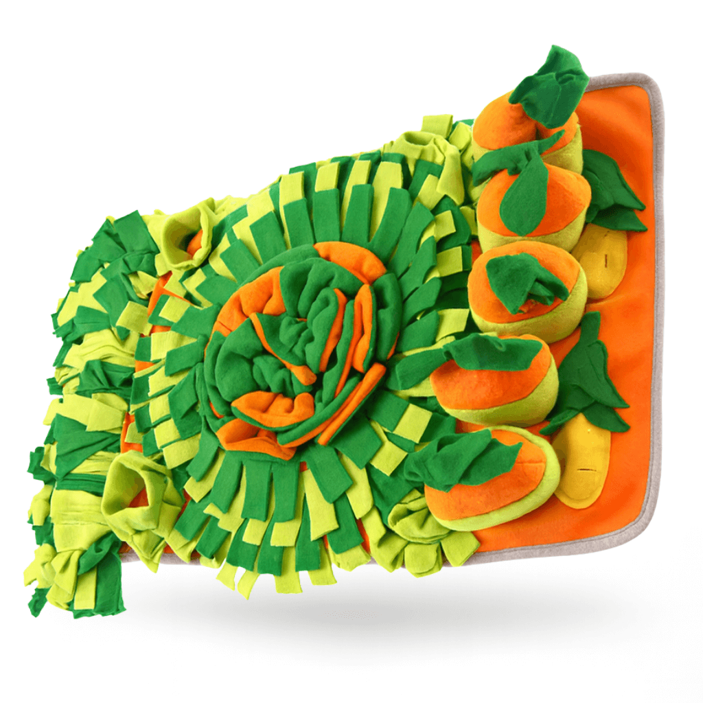 Forage Feeder - NutriPaw