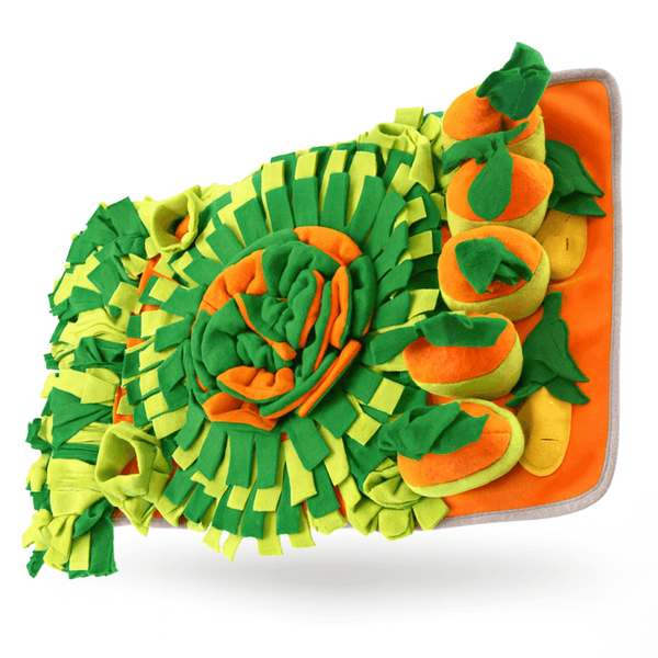 Forage Feeder - NutriPaw