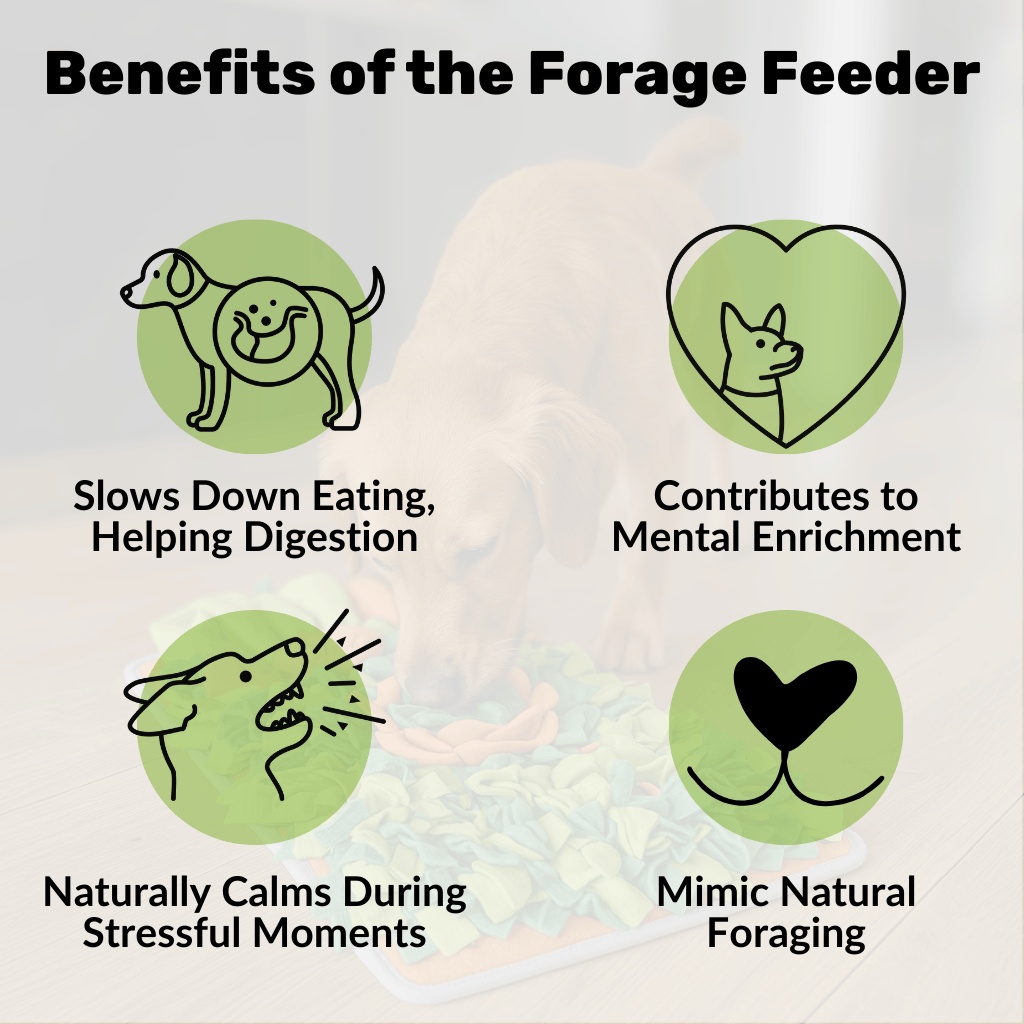 Forage Feeder - NutriPaw