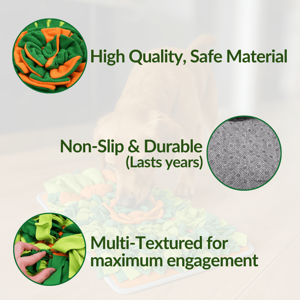 Forage Feeder - NutriPaw