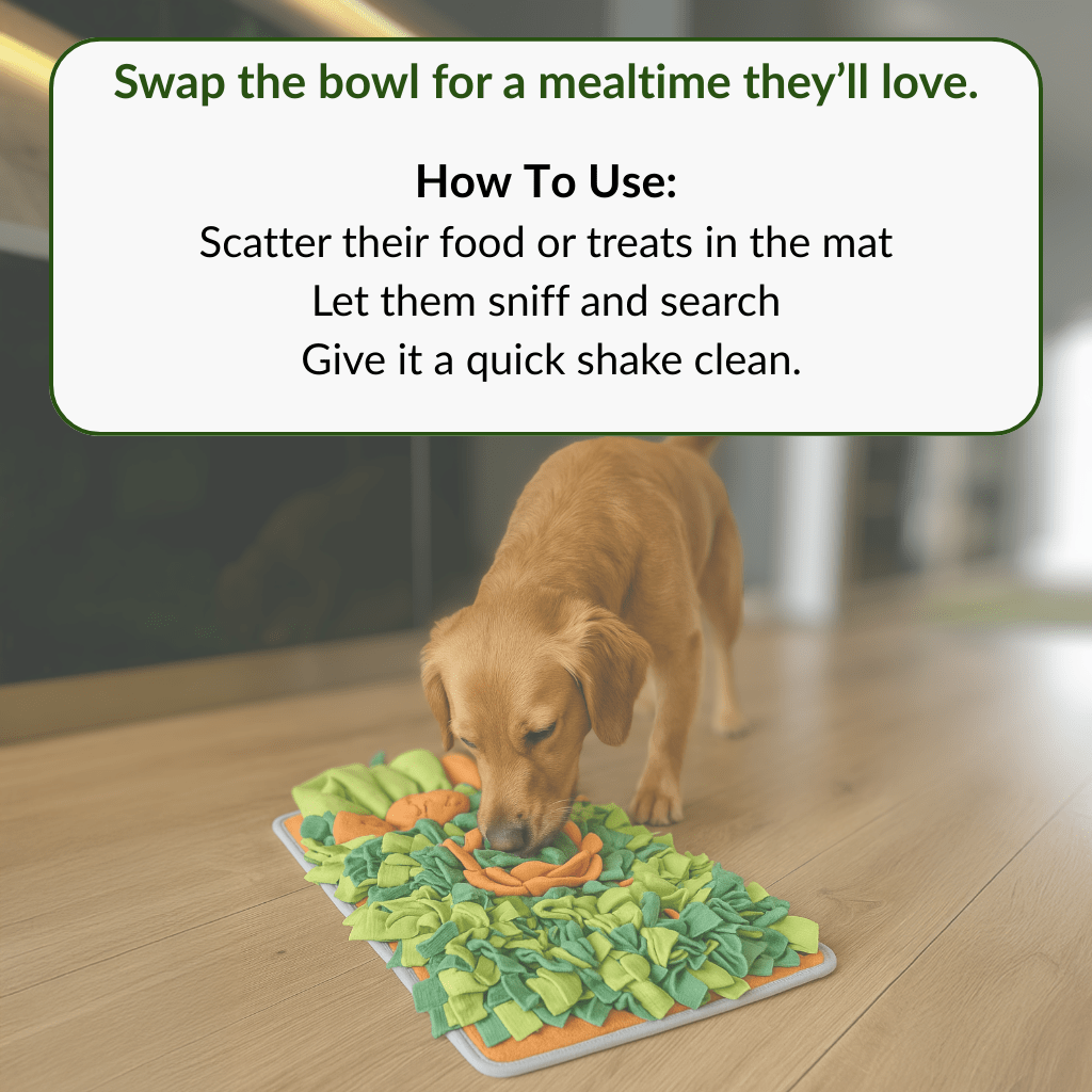 Forage Feeder - NutriPaw