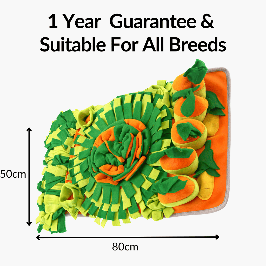 Forage Feeder - NutriPaw