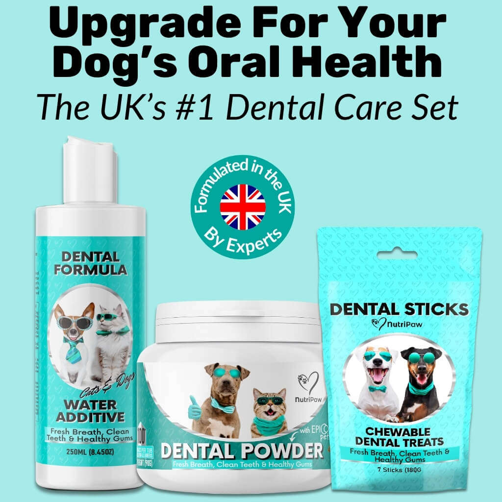 FREE Dental Sticks - NutriPaw