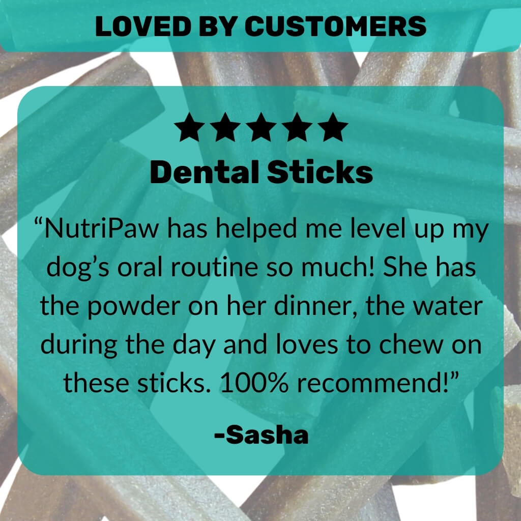 FREE Dental Sticks - NutriPaw