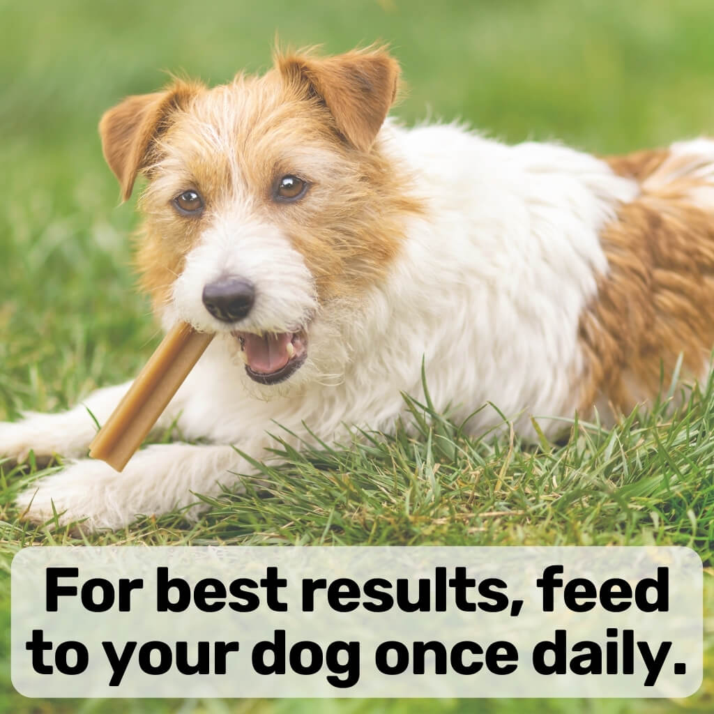 FREE Dental Sticks - NutriPaw