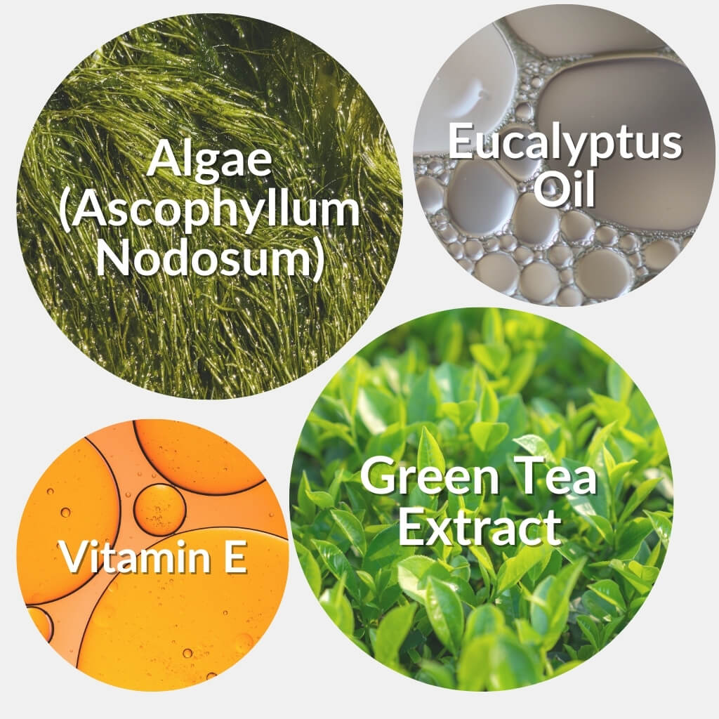 FREE Dental Sticks - NutriPaw