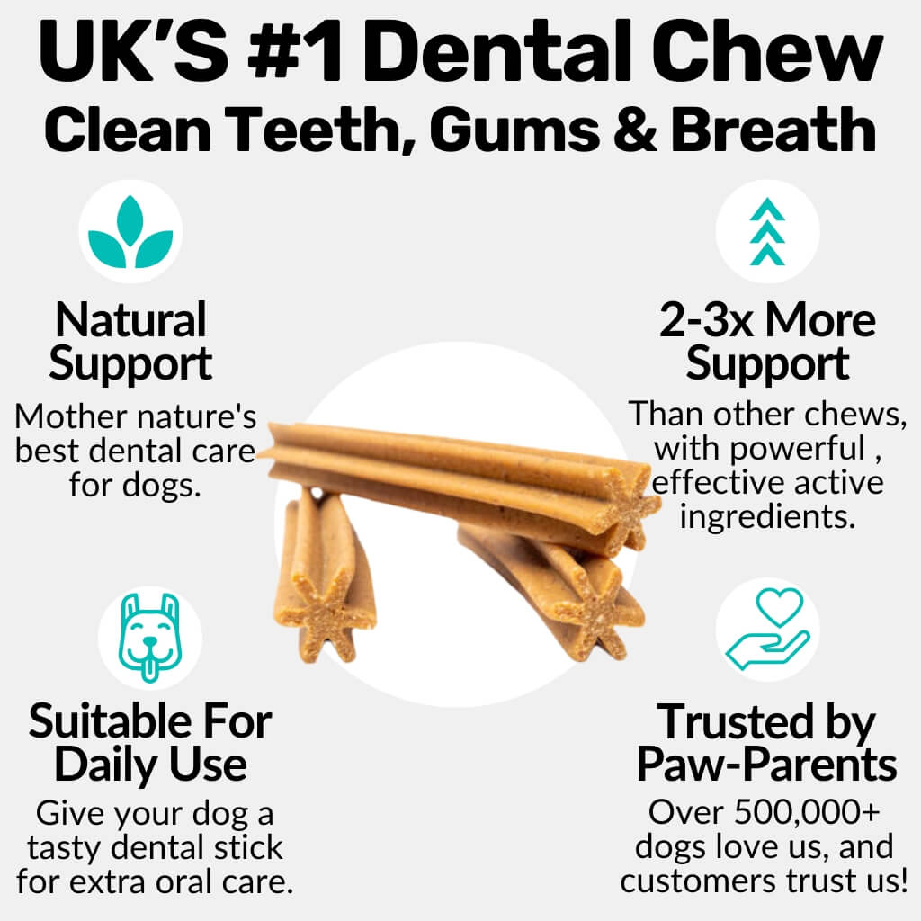 FREE Dental Sticks - NutriPaw
