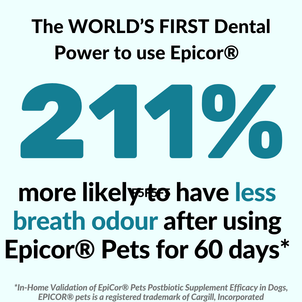 Gut & Teeth Powder Kit - NutriPaw