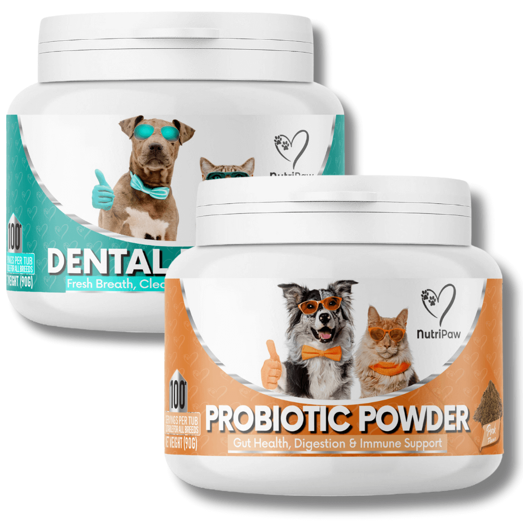 Gut & Teeth Powder Kit - NutriPaw