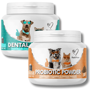 Gut & Teeth Powder Kit - NutriPaw