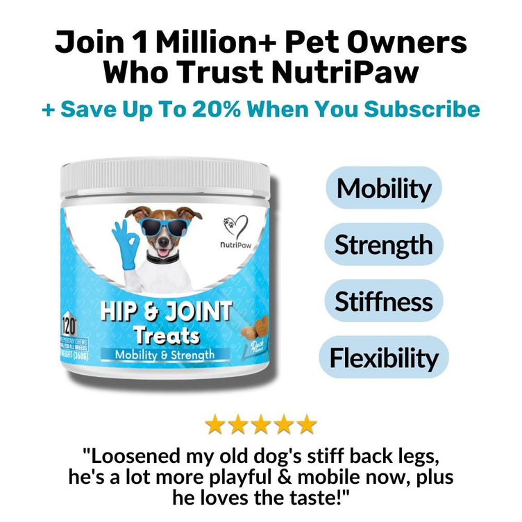 Hip & Joint Treats - NutriPaw