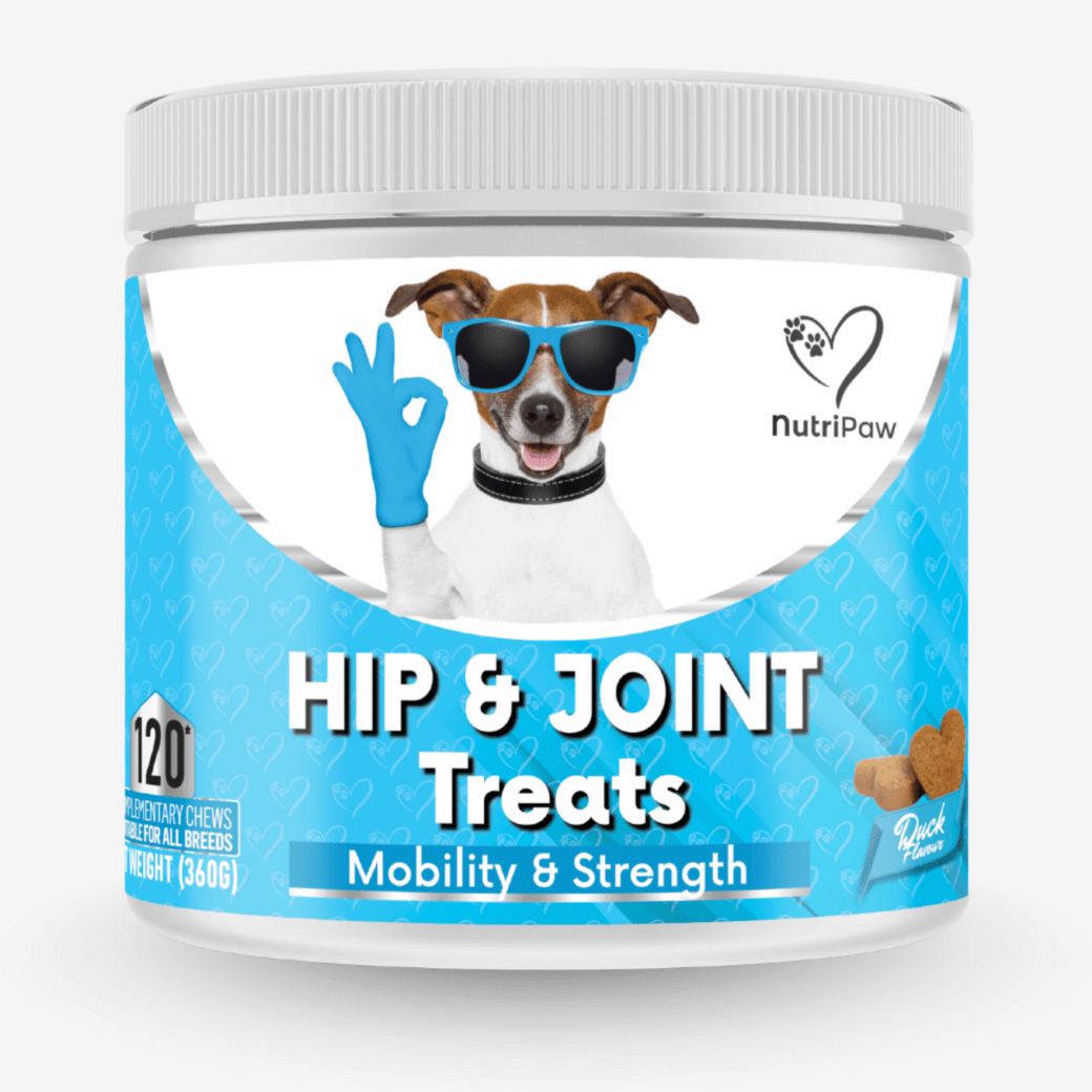Hip & Joint Treats BFCM - NutriPaw